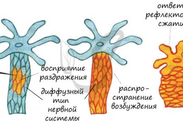 Кракен наркомагазин